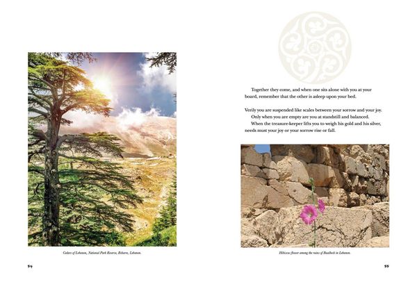 Produktbild: The Prophet Illustrated