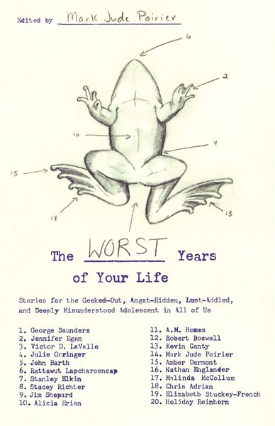 Produktbild: The Worst Years of Your Life