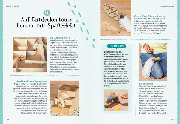 Produktbild: Neugierige Meerschweinchen