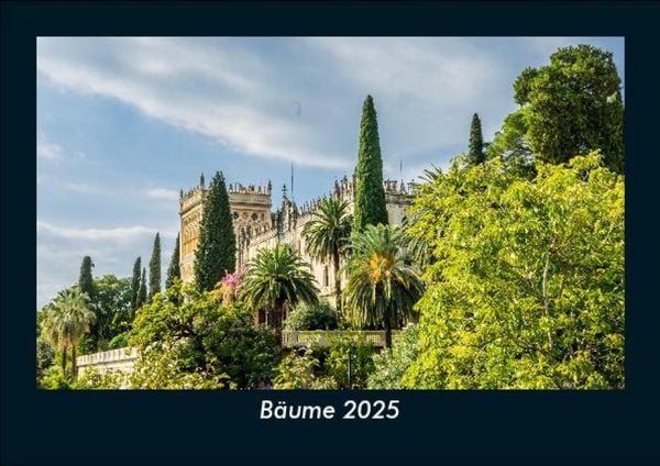 Produktbild: B&auml;ume 2025 Fotokalender DIN A5