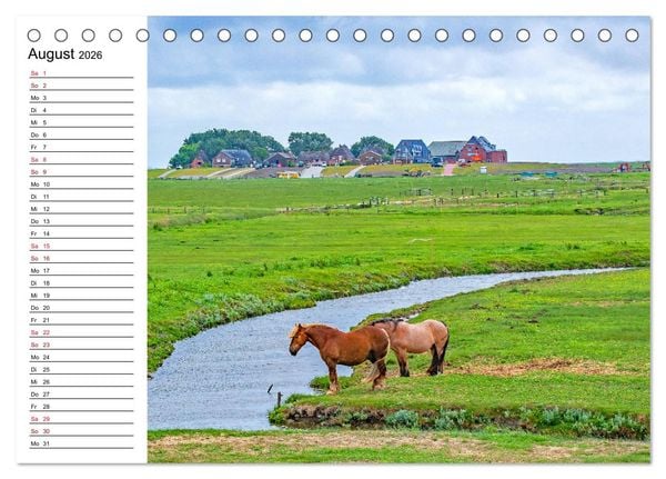 Produktbild: Hallig Hooge - Romantik Pur (Tischkalender 2026 DIN A5 quer), CALVENDO Monatskalender