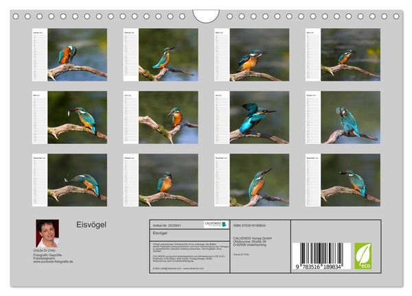 Produktbild: Eisv&ouml;gel (Wandkalender 2026 DIN A4 quer), CALVENDO Monatskalender