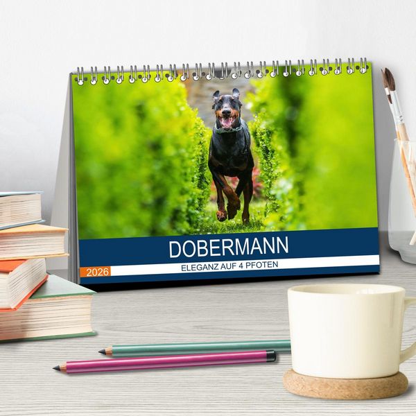 Produktbild: Dobermann 2026 (Tischkalender 2026 DIN A5 quer), CALVENDO Monatskalender