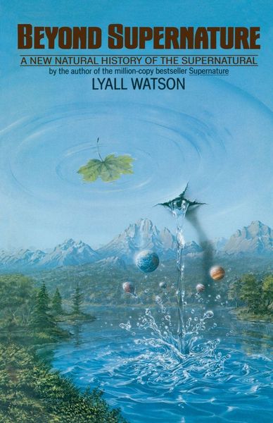 Produktbild: Beyond Supernature