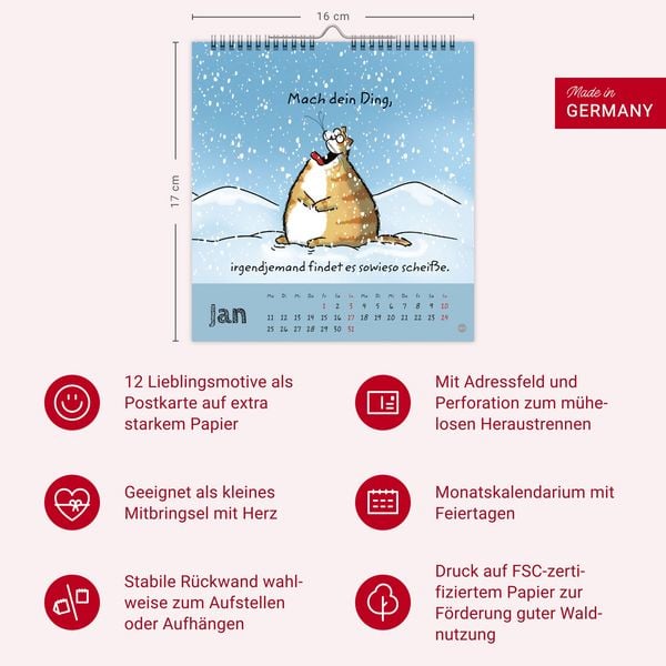 Produktbild: Catzz Postkartenkalender 2027