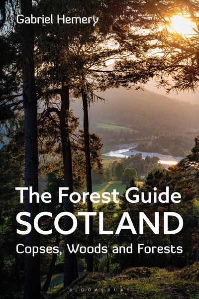 Produktbild: The Forest Guide: Scotland