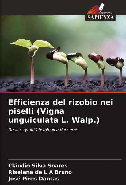 Produktbild: Efficienza del rizobio nei piselli (Vigna unguiculata L. Walp.)