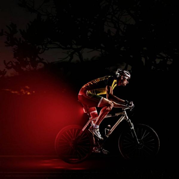 Produktbild: FISCHER FAHRRAD Fahrrad-R&uuml;cklicht PLUS TWIN STOP LED Schwarz