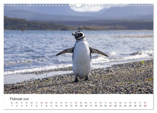 Produktbild: Argentinien - Das bezaubernde Land in S&uuml;damerika. (Wandkalender 2026 DIN A3 quer), CALVENDO Monatskalender