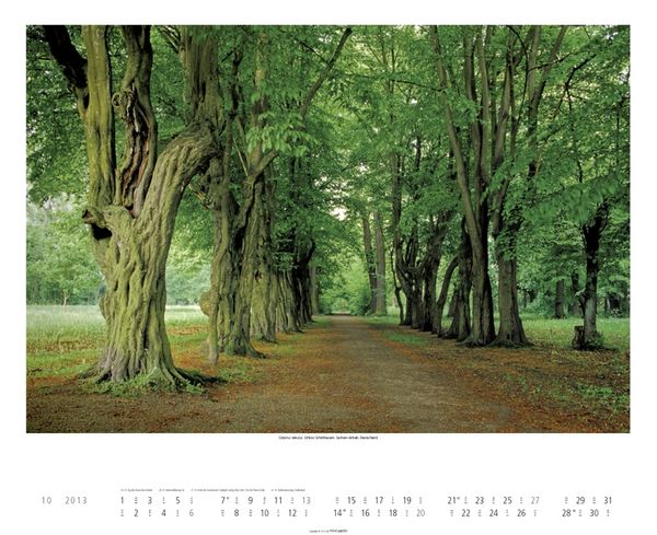 Produktbild: Alleen 2013