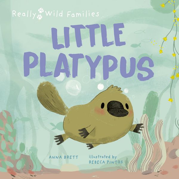 Produktbild: Little Platypus