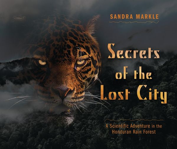 Produktbild: Secrets of the Lost City