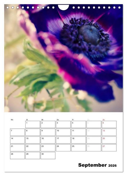 Produktbild: Zauberhafte Bl&uuml;tenwelt / Planer (Wandkalender 2026 DIN A4 hoch), CALVENDO Monatskalender