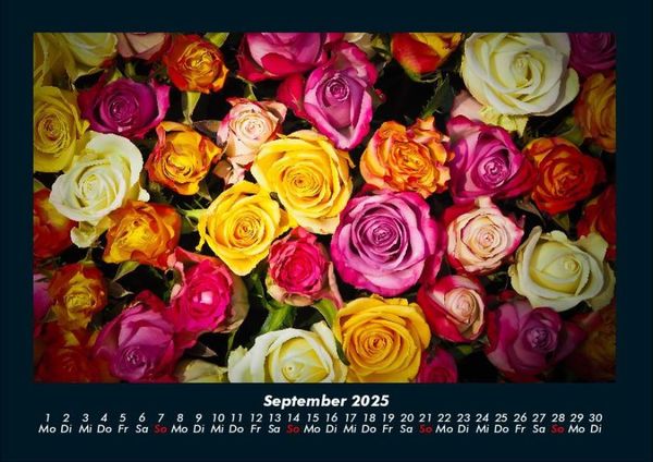 Produktbild: Rosen-Kalender 2025 Fotokalender DIN A4
