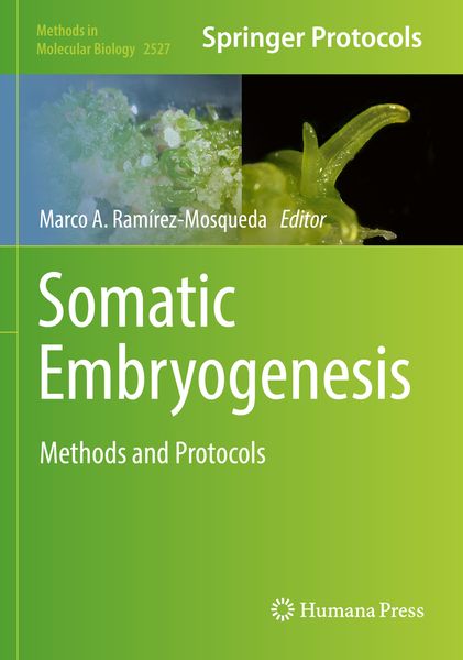 Produktbild: Somatic Embryogenesis