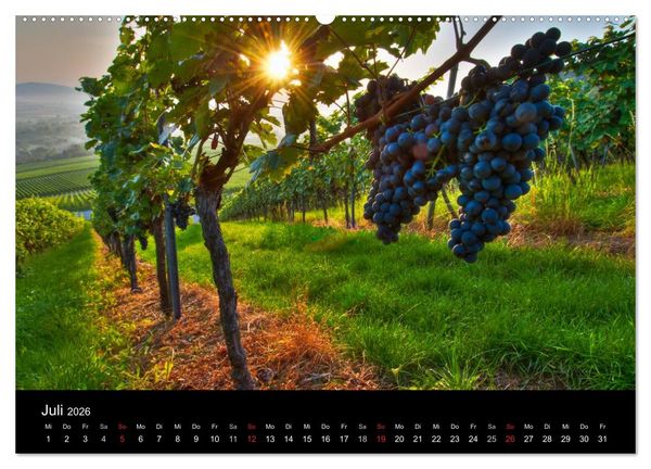 Produktbild: Weinberge im Remstal (Wandkalender 2026 DIN A2 quer), CALVENDO Monatskalender