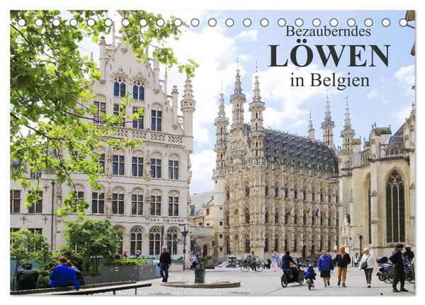 Produktbild: Bezauberndes L&ouml;wen in Belgien (Tischkalender 2026 DIN A5 quer), CALVENDO Monatskalender