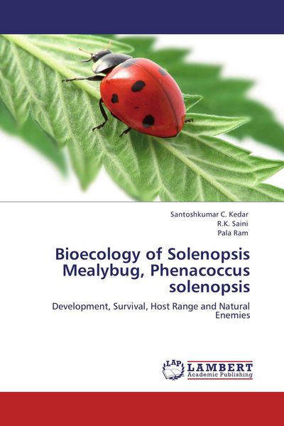 Produktbild: Bioecology of Solenopsis Mealybug, Phenacoccus solenopsis