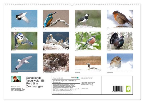 Produktbild: Schottlands Vogelwelt - Ein Portr&auml;t in Zeichnungen (hochwertiger Premium Wandkalender 2026 DIN A2 quer), Kunstdruck in Hochglanz