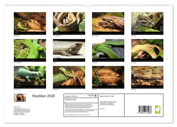 Produktbild: Reptilien 2026 (hochwertiger Premium Wandkalender 2026 DIN A2 quer), Kunstdruck in Hochglanz