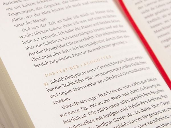 Produktbild: Metamorphosen oder Der goldne Esel