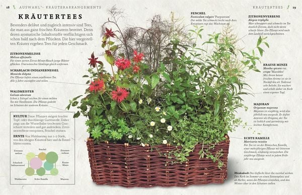 Produktbild: K&uuml;chenkr&auml;uter anbauen und genie&szlig;en