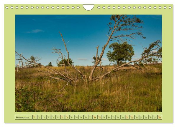 Produktbild: Wonderful Black Forest (Wall Calendar 2026 DIN A4 landscape), CALVENDO 12 Month Wall Calendar