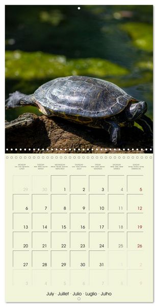 Produktbild: Les merveilles du monde les reptiles (Calendrier mural carr&eacute; 2026 30x30 cm) Calendrier double avec une page pour vos prises de notes