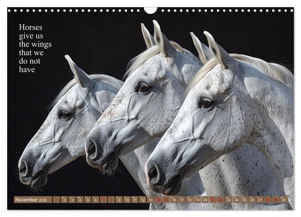 Produktbild: A Horse Makes You Complete (Wall Calendar 2026 DIN A3 landscape), CALVENDO 12 Month Wall Calendar