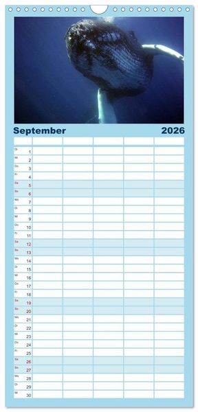 Produktbild: Familienplaner 2026 - Delfine und Wale mit 5 Spalten (Wandkalender, 21 x 45 cm) CALVENDO