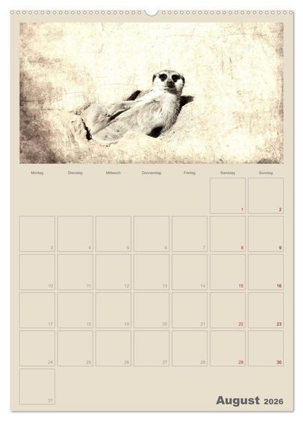 Produktbild: Lustige Erdm&auml;nnchen (hochwertiger Premium Wandkalender 2026 DIN A2 hoch), Kunstdruck in Hochglanz