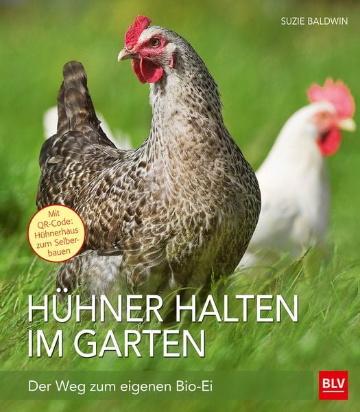 Hühner halten im Garten