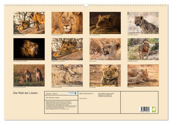 Produktbild: Die Welt der L&ouml;wen (Wandkalender 2026 DIN A2 quer), CALVENDO Monatskalender