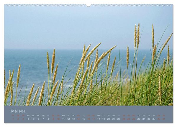 Produktbild: Tag am Meer (Wandkalender 2026 DIN A2 quer), CALVENDO Monatskalender