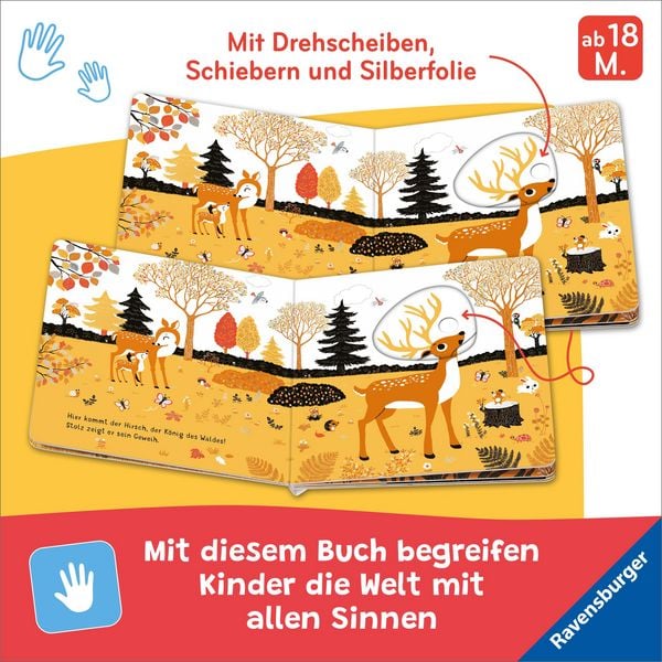 Produktbild: Mein erstes Glitzerbuch - Im Wald