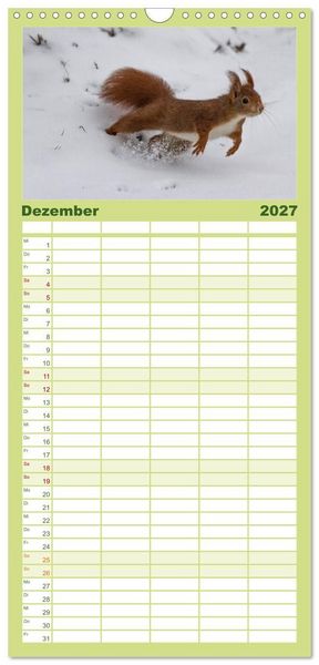 Produktbild: Familienplaner 2027 - Mit dem Eichh&ouml;rnchen durchs Jahr mit 5 Spalten (Wandkalender, 21 x 45 cm) CALVENDO