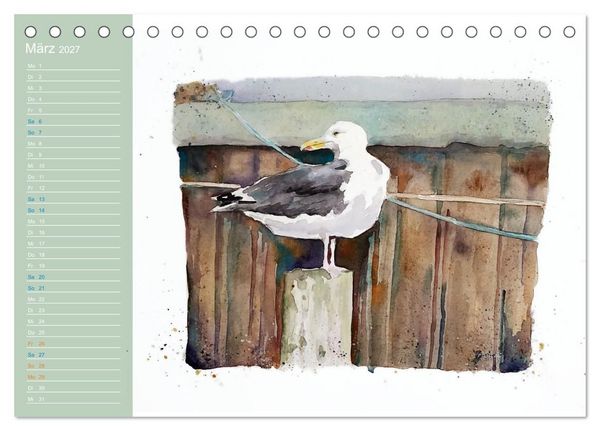 Produktbild: M&ouml;wen - Aquarelle von Julia Pasinski (Tischkalender 2027 DIN A5 quer), CALVENDO Monatskalender