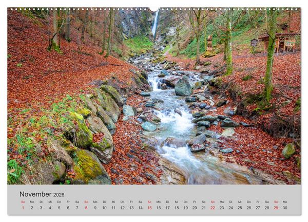 Produktbild: Komm, ich zeige dir den Wald (hochwertiger Premium Wandkalender 2026 DIN A2 quer), Kunstdruck in Hochglanz
