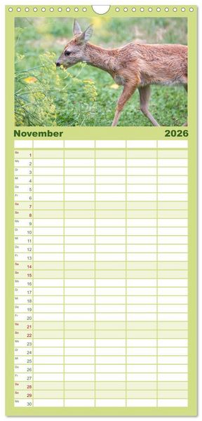 Produktbild: Familienplaner 2026 - Heimische Tiere - Rehe mit 5 Spalten (Wandkalender, 21 x 45 cm) CALVENDO