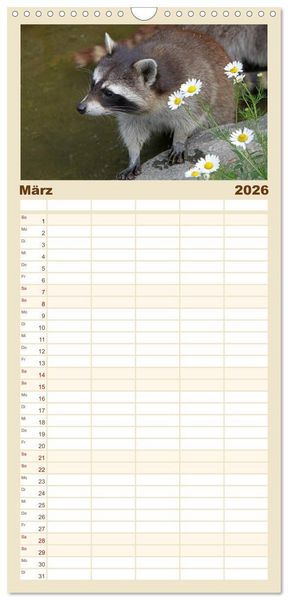 Produktbild: Familienplaner 2026 - Waschb&auml;ren mit 5 Spalten (Wandkalender, 21 x 45 cm) CALVENDO