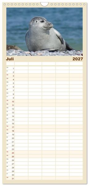 Produktbild: Familienplaner 2027 - Das Leben der Robben mit 5 Spalten (Wandkalender, 21 x 45 cm) CALVENDO