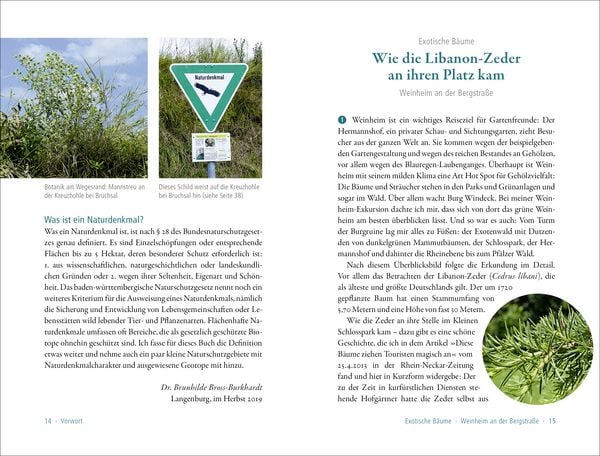 Produktbild: 50 sagenhafte Naturdenkmale in Baden-W&uuml;rttemberg: Odenwald, Neckarland, Hohenlohe, Ostalb, Nordschwarzwald