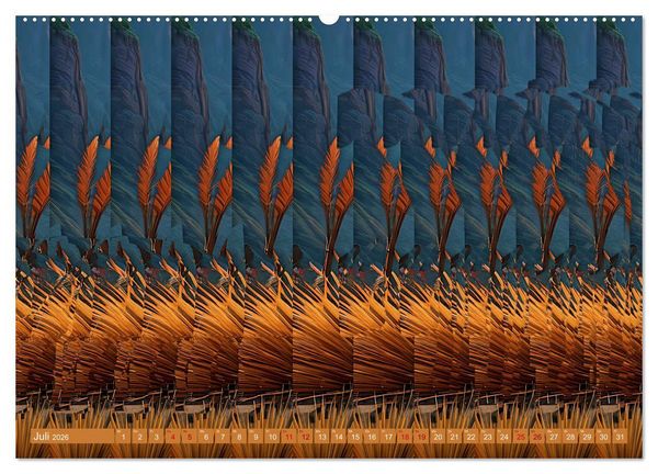 Produktbild: Magische Bilder - fantastische Stereogramme (Wandkalender 2026 DIN A2 quer), CALVENDO Monatskalender