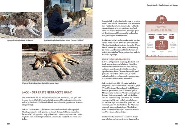 Produktbild: Die geheime Welt der Straßenhunde