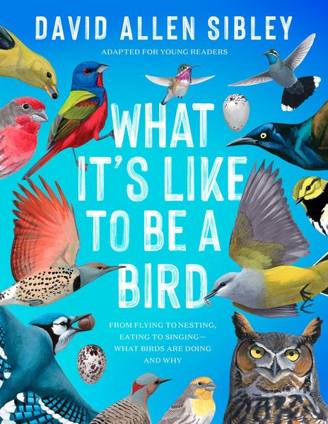 Produktbild: What It's Like to Be a Bird (Adapted for Young Readers)