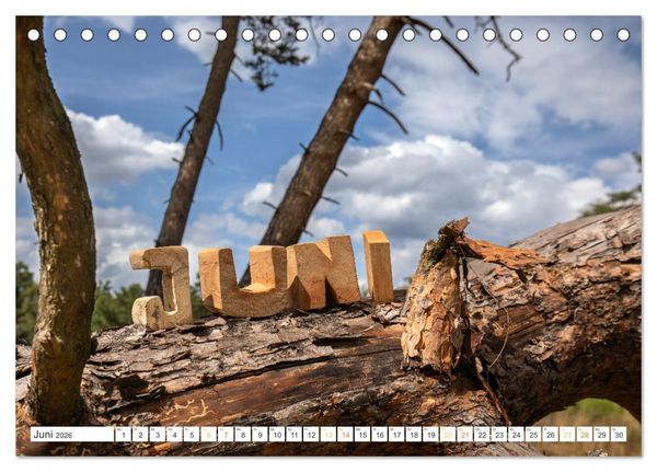 Produktbild: Holz, ein fantastischer Rohstoff. (Tischkalender 2026 DIN A5 quer), CALVENDO Monatskalender