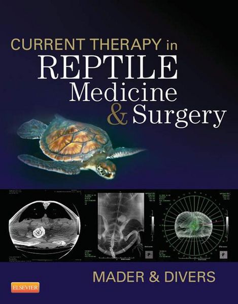 Produktbild: Current Therapy in Reptile Medicine and Surgery
