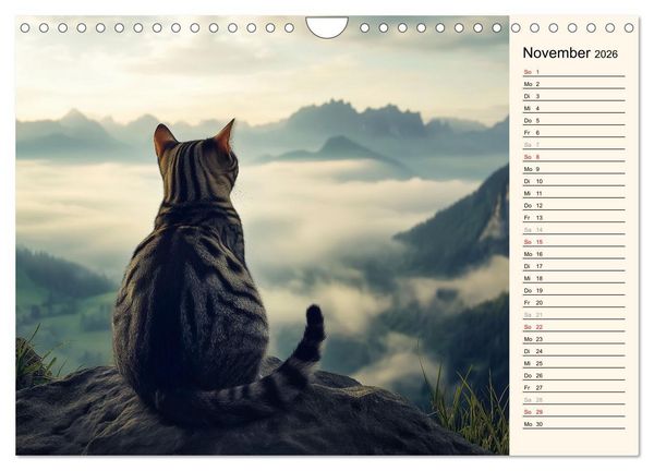 Produktbild: Katzen schaffen Kunst (Wandkalender 2026 DIN A4 quer), CALVENDO Monatskalender