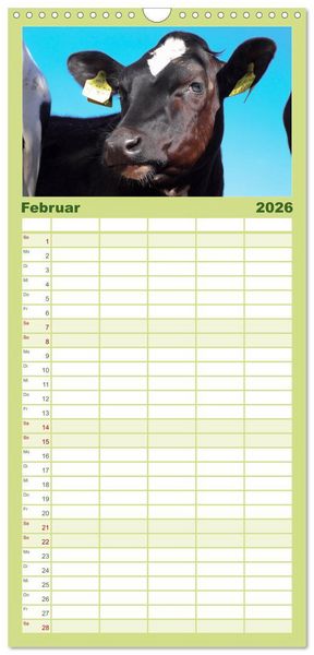 Produktbild: Familienplaner 2026 - Die Kuh macht Muuuh! mit 5 Spalten (Wandkalender, 21 x 45 cm) CALVENDO