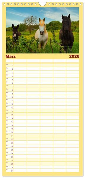 Produktbild: Familienplaner 2026 - Liebenswerte Esel mit 5 Spalten (Wandkalender, 21 x 45 cm) CALVENDO
